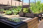 aquaponic gardening system