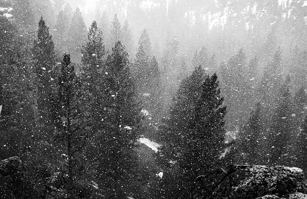snow storm wilderness